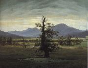 Caspar David Friedrich The Solitary Tree painting